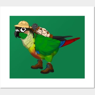 Adventure Conure Posters and Art